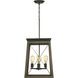 Belmont Bay 4 Light 15.5 inch Antique Bronze Foyer Pendant Ceiling Light