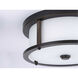 Beaches 2 Light 13 inch Antique Bronze Flush Mount Ceiling Light