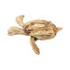 Dolos Natural Ornamental Accessory