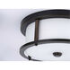 Beaches 2 Light 13 inch Antique Bronze Flush Mount Ceiling Light