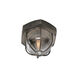 Kailua 1 Light 13 inch Aged Silver Flush Mount Ceiling Light