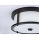 Beaches 2 Light 13 inch Antique Bronze Flush Mount Ceiling Light