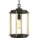 Atlantis 1 Light 9.75 inch Architectural Bronze Outdoor Hanging Lantern