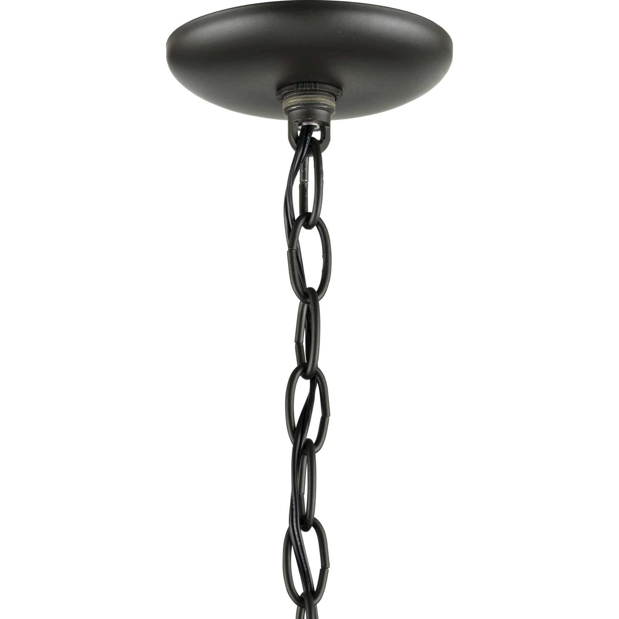 Blue Marlin 1 Light 13 inch Graphite Pendant Ceiling Light, Design Series