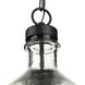 Blue Marlin 1 Light 13 inch Graphite Pendant Ceiling Light, Design Series