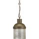 Frenchman Bay 1 Light 9.5 inch Aged Brass Pendant Ceiling Light, Design Series