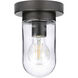 Paia 1 Light 5.13 inch Graphite Flush Mount Ceiling Light