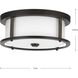 Beaches 2 Light 13 inch Antique Bronze Flush Mount Ceiling Light