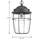 Flatts 1 Light 10.5 inch Textured Black Outdoor Hanging Lantern
