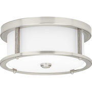 Flush Mounts