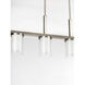 Beaches 4 Light 38 inch Brushed Nickel Linear Chandelier Ceiling Light