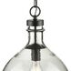 Blue Marlin 1 Light 13 inch Graphite Pendant Ceiling Light, Design Series