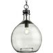 Blue Marlin 1 Light 13 inch Graphite Pendant Ceiling Light, Design Series